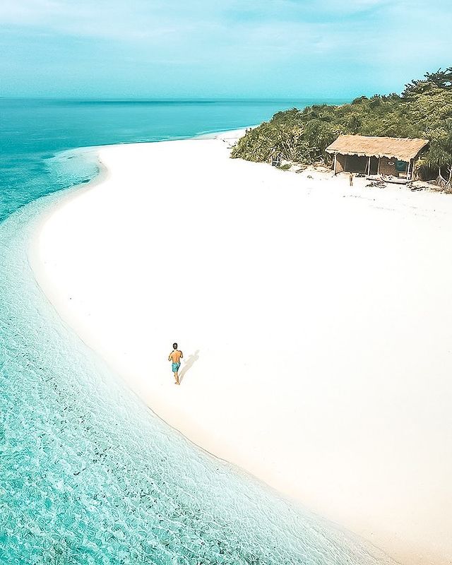 Laguは売り上げの一部を海洋生物の保護に寄付しています。