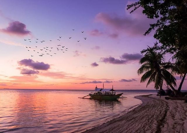Laguは売り上げの一部を海洋生物の保護に寄付しています。
