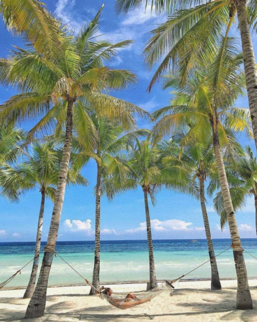 Laguは売り上げの一部を海洋生物の保護に寄付しています。