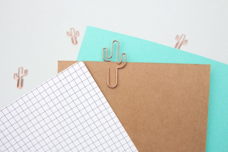 Unique Paper Clips (ﾕﾆｰｸ ﾍﾟｰﾊﾟｰｸﾘｯﾌﾟ) 　ユニークデザイン ペーパークリップ 5個セット