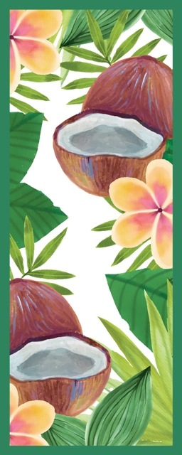 Coconut Pino (ｺｺﾅｯﾂ) 