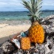 MANABAR Pineapple Delight マナバー パイナップルディライト