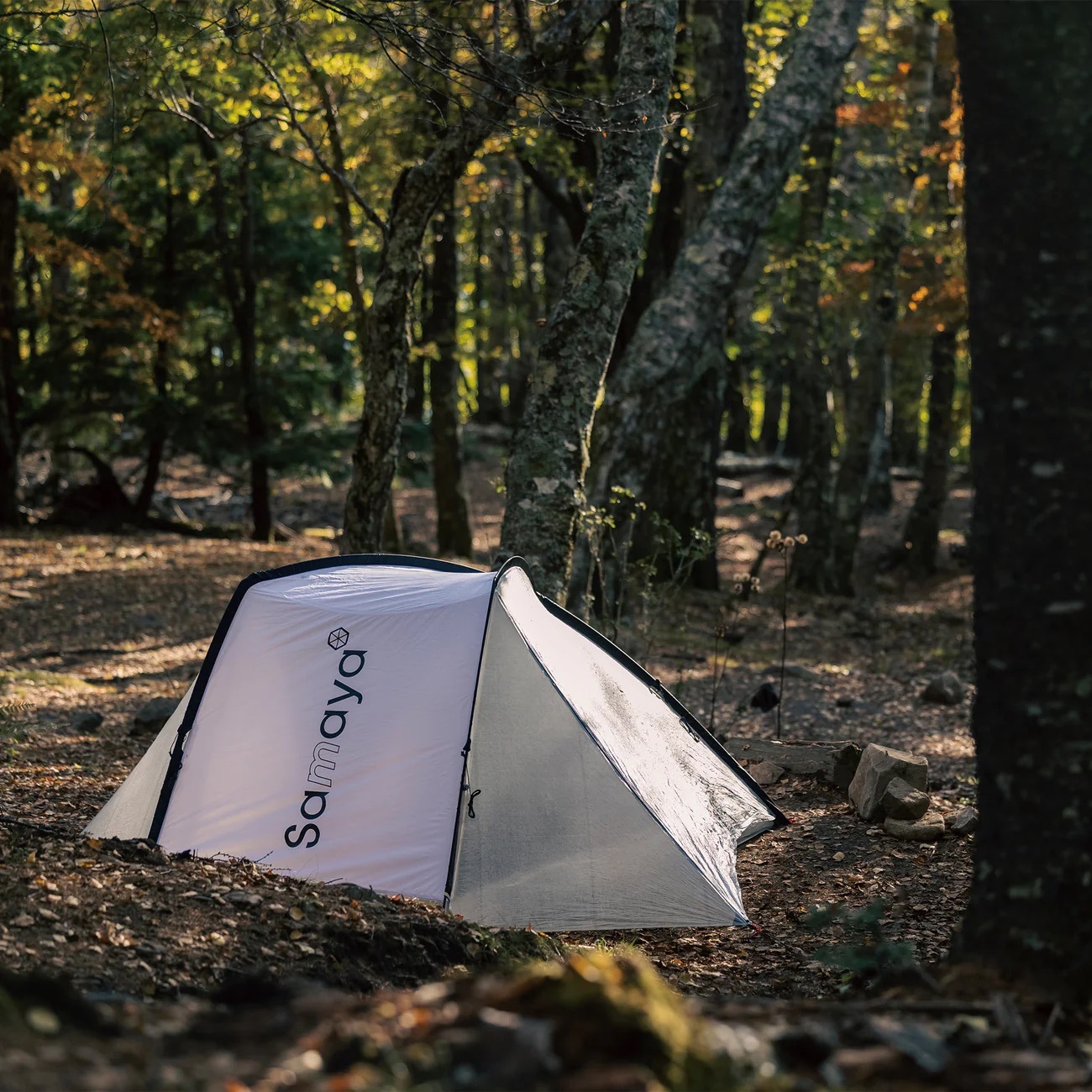 SAMAYA INSTANT2 / サマヤ インスタント 2 | BRAND,SAMAYA