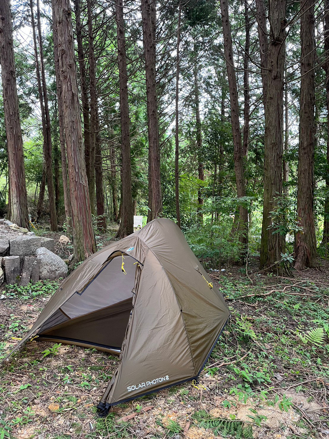 TERRA NOVA Solar Photon 2 テラノバ ソーラーフォトン2 日本