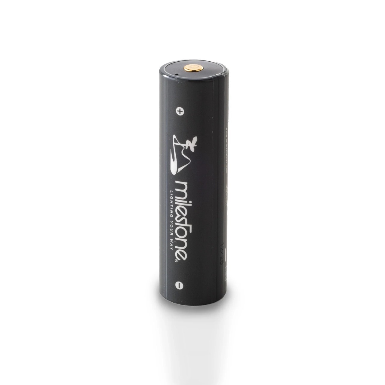 milestone MS-i2 “Endurance   PRO”