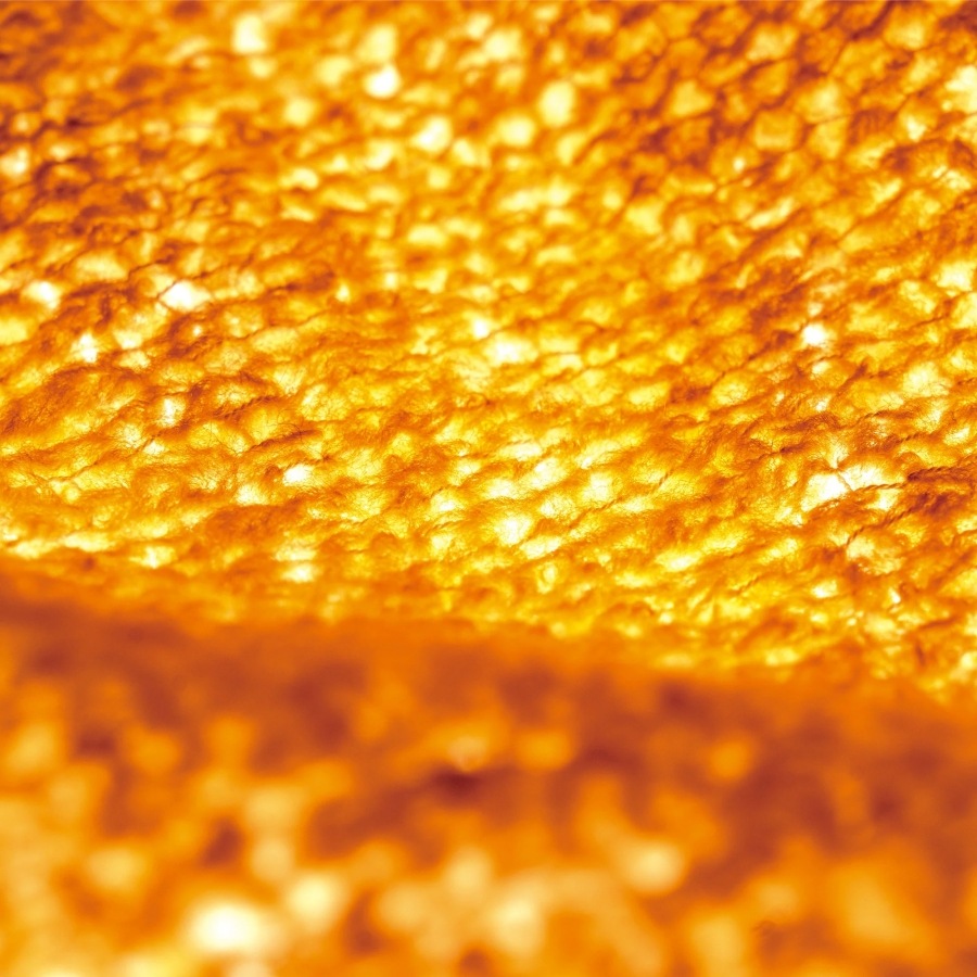 STATIC  ROAR HI-LOFT HOODY / ロアー ハイロフト フーディ