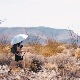 GOSSAMER GEAR　LIGHTREK HIKING (CHROME) UMBRELLA ゴッサマーギア ライトレック ハイキング アンブレラ/クローム