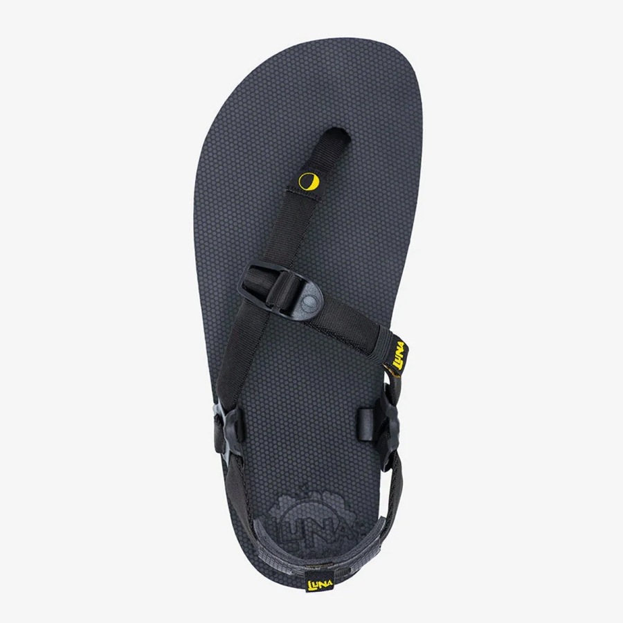 LUNA SANDALS Middle Bear Winged Edition ルナサンダル ミドル ベアー 