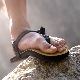 LUNA SANDALS　Venado Premium Cabra -Winged Edition ルナサンダル ベナード プレミアム カブラ ウィングドエディション）