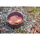 EVERNEW Ti Storage pot 560 / エバニュー チタン ストレージ ポット