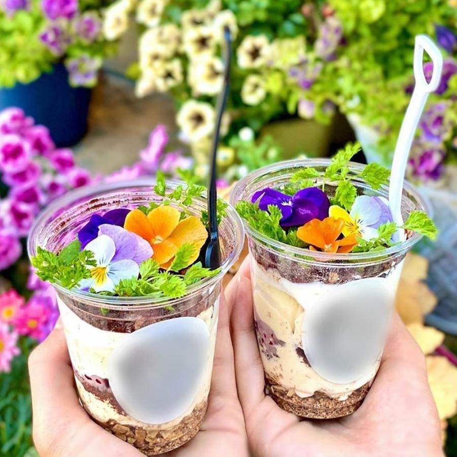 PET���å� 12oz(370ml) 92mm���¡�1000������