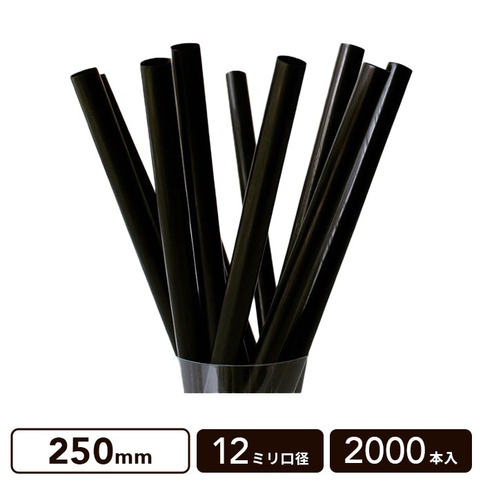 [������] 12mm���� ���ԥ������ȥ��� (��) 250mm ��2000�ܡ�