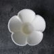 �¥����ǥ����Ȼ楫�å� ���ߤ� 300ml �ۥ磻�� 500��