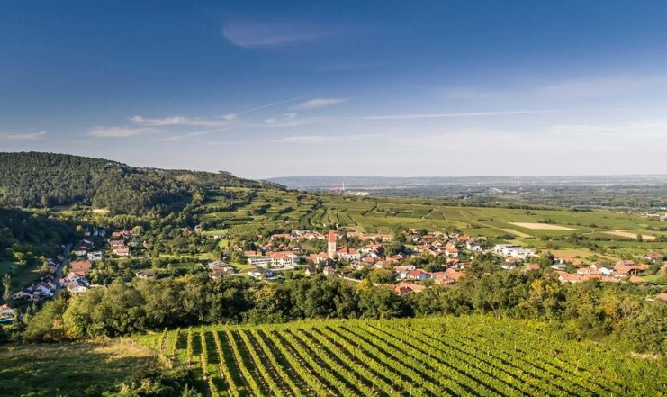 ニューチャプター （オーストリアワイン） LENZMARK New Chapter 2022 × バレリーナ ワイングラスⅢ　ペアグラス（２脚）セツト ギフトにおすすめ