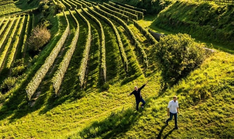 ニューチャプター （オーストリアワイン） LENZMARK New Chapter 2022 × バレリーナ ワイングラスⅢ　ペアグラス（２脚）セツト ギフトにおすすめ