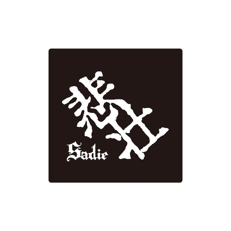 Sadie/Tour Wristband