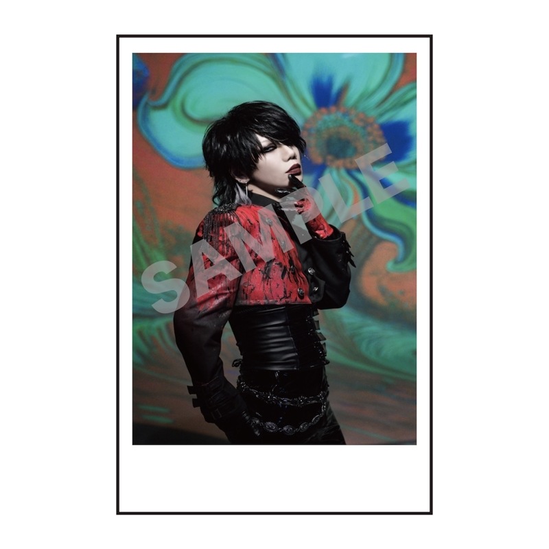 mao/�����������