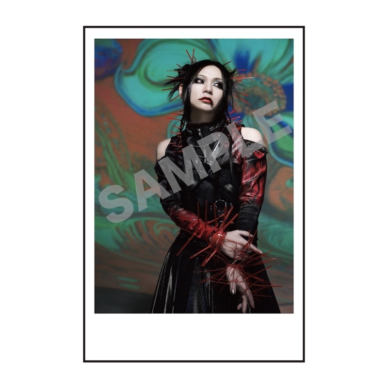 mizuki/�����������