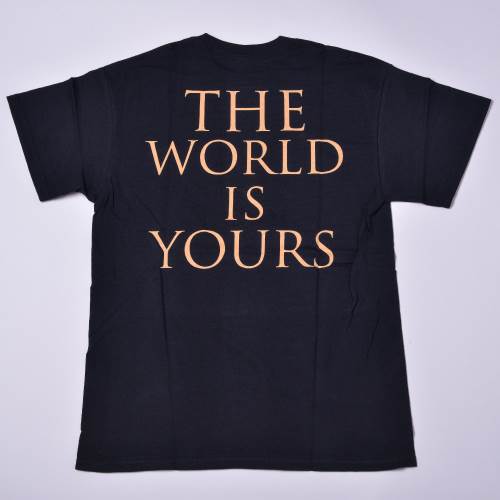 ARCH ENEMY / T����� (Will To Power)