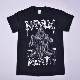 NAPALM DEATH / �ĥ���T����ġ�2019(Reaper)