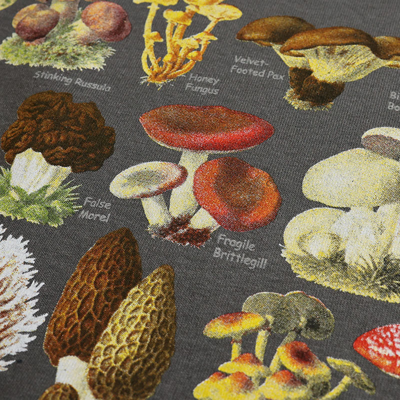 Atlas Screen Printing クルーネックプリントTee