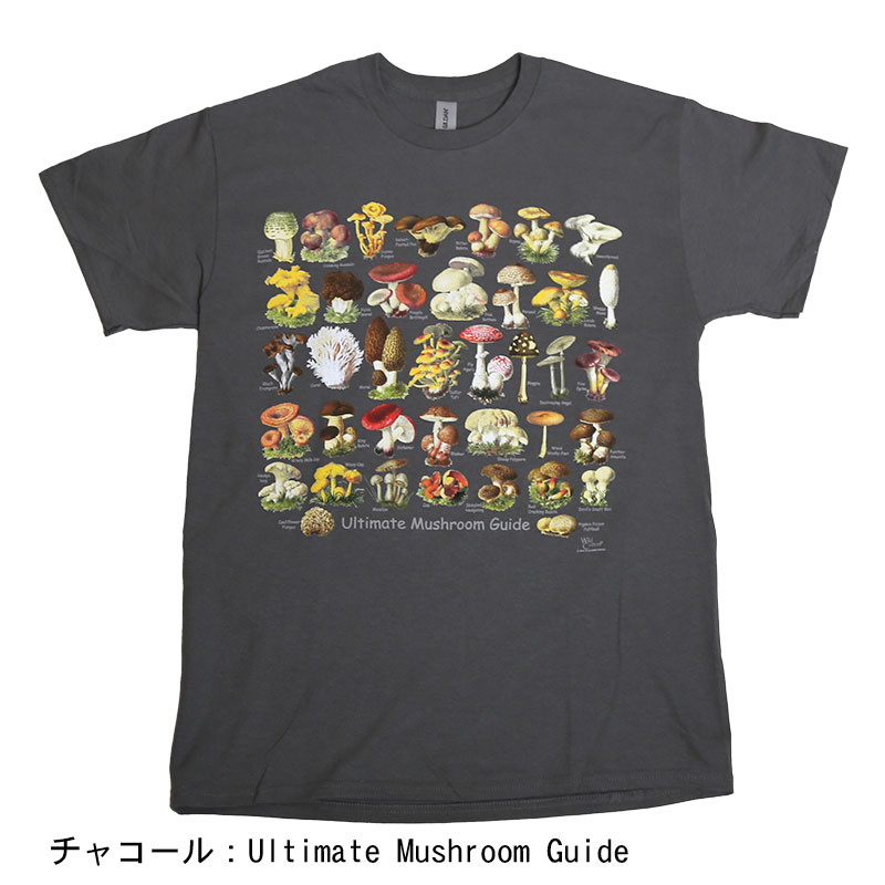 Atlas Screen Printing クルーネックプリントTee