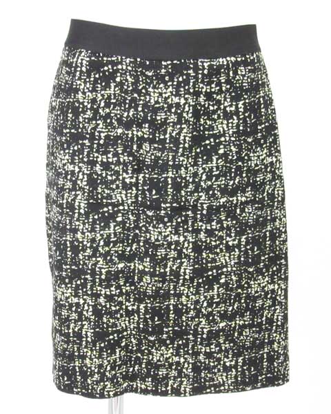 ���ͥ� INED ���������������� 11