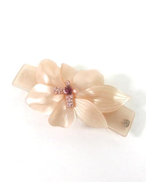 쥯ɥɥѥ ALEXANDRE DE PARIS ԥ Хå 񤢤