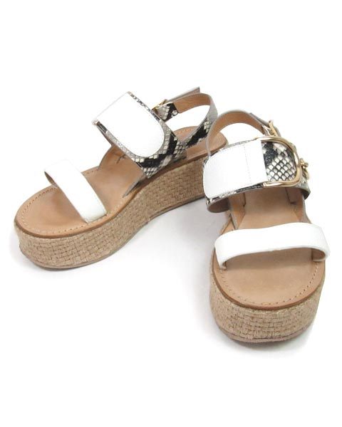 ���륽������ ���졼��������ͥ󥿥� �� �����å� ������� 37