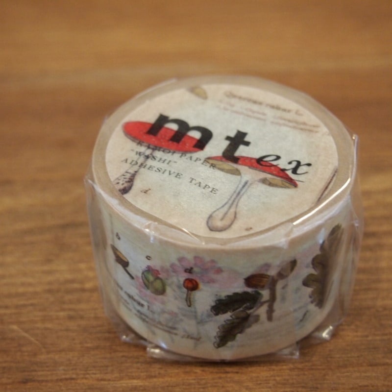 mt���ޥ����󥰥ơ��� mt ex���޴ա���ʪ