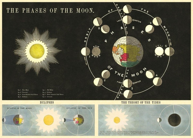 ꥫCAVALLINI꡼ˡåԥ󥰥ڡѡꡡPhases Of The Moon