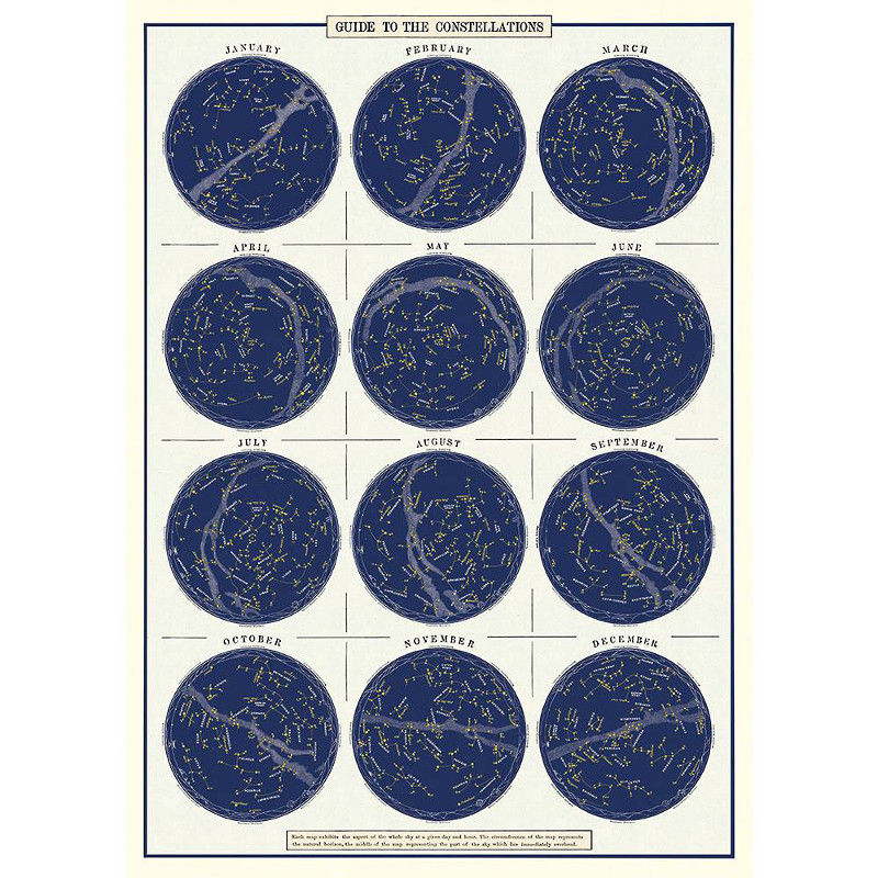 ꥫCAVALLINI꡼ˡåԥ󥰥ڡѡݥ¥ɡ12