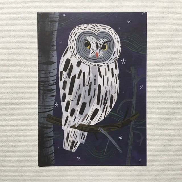 եɡKehvola Designեܥ顡ǥ Pikkuj&#228;ms&#228;ޥåƥԥåॵ̲ݥȥɡLapinpolloåץɥե