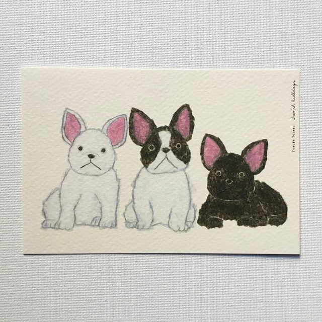 ����ʹ��Yusuke Yonezu���ݥ��ȥ����ɡ���French bulldogs�ס��ե����֥�ɥå�