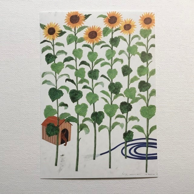 Yoko Matsumoto���ޥĥ�ȥ衼�����ݥ��ȥ����ɡ��Ҥޤ�ꡡ���������ۡ���