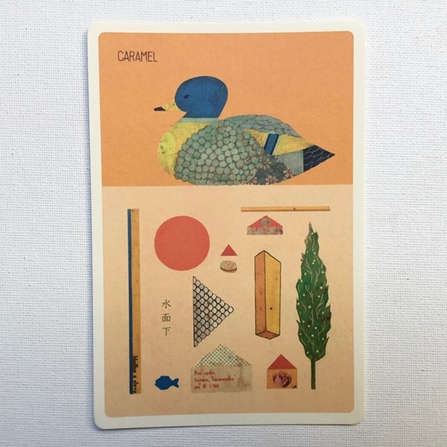 TOSHIYUKI FUKUDA��ʡ����Ƿ���ݥ��ȥ����ɡ���