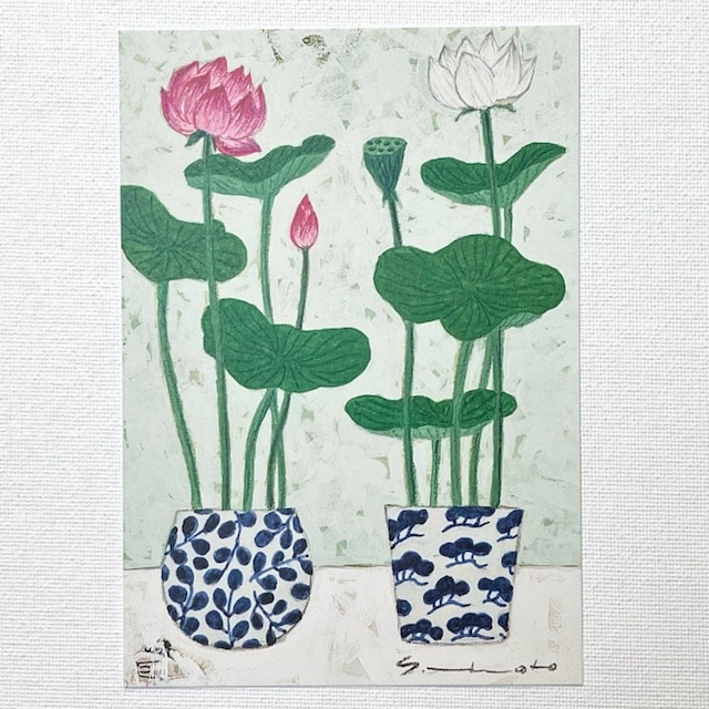 Yoko Matsumoto���ޥĥ�ȥ衼�����ݥ��ȥ����ɡ��ԥ󥯤���Υϥ��β�