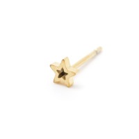 �ԥ��� ���������륹�ƥ�쥹316L ������������� STAR-GL