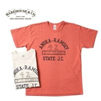 WAREHOUSE ϥ Ⱦµ T Lot 4064 "ANOKA-RAMSEY"  4064-ANOKA(25S)