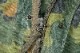 BUZZ RICKSON'S �Х��ꥯ���� ���㥱�å� Type M-65 (NO HOOD) "MITCHELL PATTERN CAMOUFLAGE" BR15578