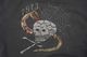 Schott ����å� �������å� �ȥ졼�ʡ� "PIGMENT SKULL AND SNAKE CREW SWEAT"  782-5232011
