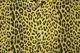 STAR OF HOLLYWOOD ���������֥ϥꥦ�å� Ĺµ ����� HIGH DENSITY RAYON L/S OPEN SHIRT  "LEOPARD"  SH29489