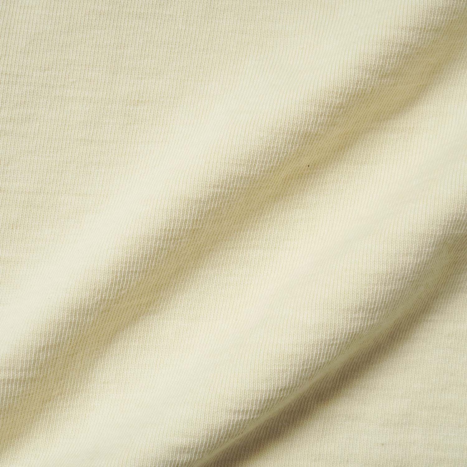 DELUXEWARE �ǥ�å��������� Ⱦµ T����� "EAGLE BRAND"  BRGX-262