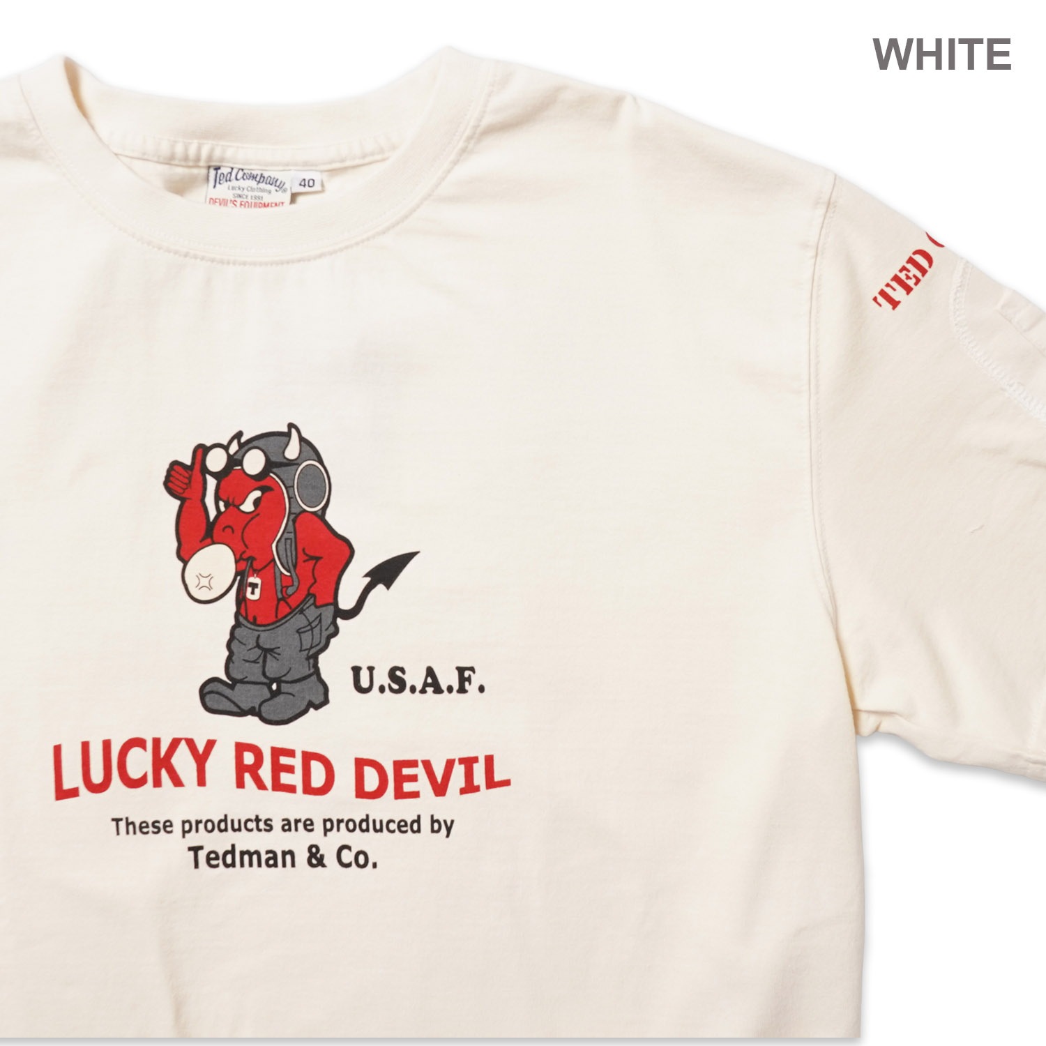 TEDMAN'S �ƥåɥޥ� Ⱦµ T����� "U.S.AIR FORCE" TDSS-578