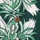 SUN SURF ���󥵡��� Ĺµ �����ϥ���� ��NIGHT BLOOMING CEREUS BORDER"  SS29602