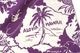 SUN SURF ���󥵡��� Ⱦµ �����ϥ���ġ�SPECIAL EDITION   "MEMORY IN HAWAII" (PULLOVER SHIRT)  SS39288