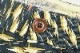 SCOTCH&SODA �����å�����ɥ����� ���硼�� �ϡ��եѥ�� "SLIM FIT CHINO SHORTS" SC81122-41
