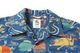SUN SURF 󥵡 Ⱦµ ϥ DOBBY COTTON OPEN SHIRT  OCEAN ACTIVITIES by ʿ with MOOKIE  SS39538
