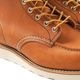 RED WING ��åɥ����� �֡���  "6-inch Classic Moc"  Style No.875