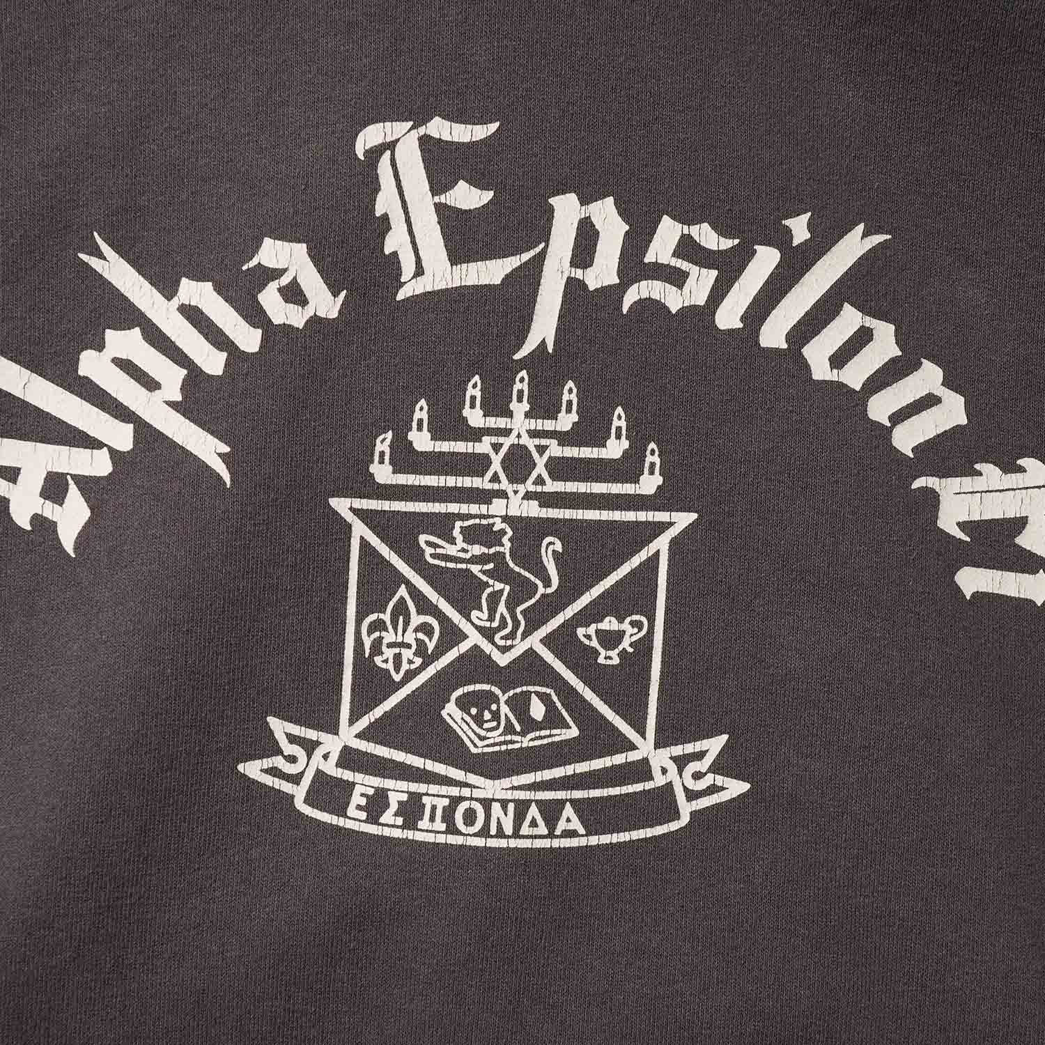 WAREHOUSE �������ϥ��� �������åȡ��ѡ����� Lot.462  "ALPHA EPSILON PI"  462-ALPHA EPSILON PI(25AW)